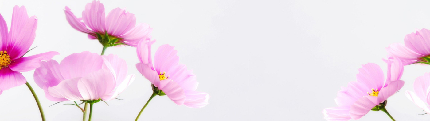 Tu floristería local en Gijón